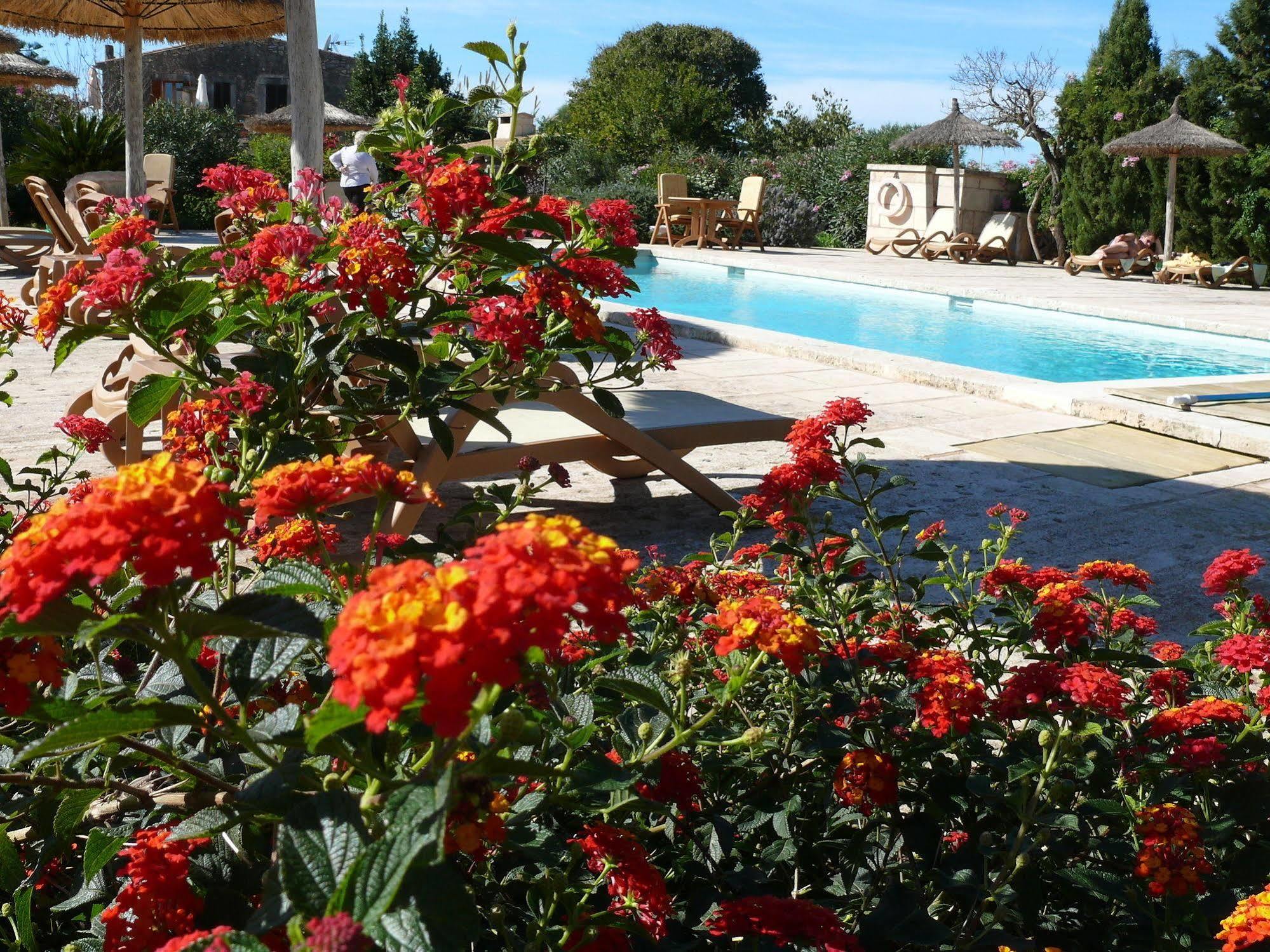 Hotel Sa Carrotja - Adults Only Ses Salines (Mallorca)